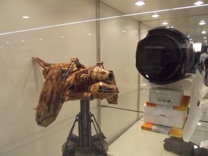 DSCF3941.JPG