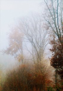 fall.jpg
