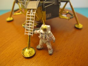 IMG_6252.JPG