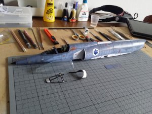 Kfir60.jpg