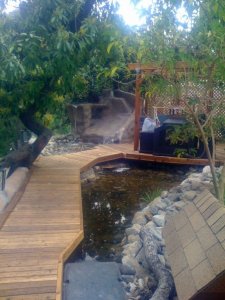 Jasons Oasis.jpg