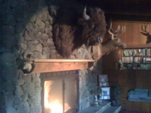 Mantle 07.jpg