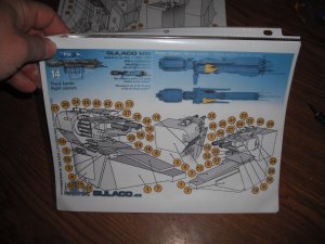 DSCF5176.JPG