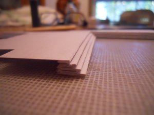 DSCN0339.jpg
