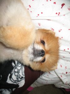 IMG_3321.JPG