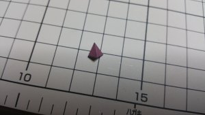 20150925_181604.jpg