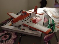 IMG_9352 a.jpg