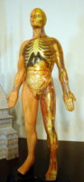 DSC07315.JPG