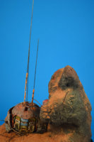 19.JPG