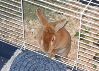 DSCN0420.jpg
