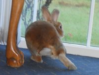 DSCN0421.jpg
