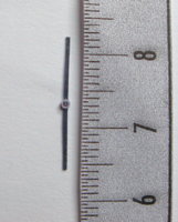 DSC07381.JPG
