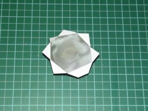 DSCF1451.jpg