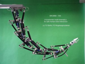 BROMMI-TAK__Pose4_800x600_text-en.jpg