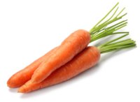 carrot.jpg