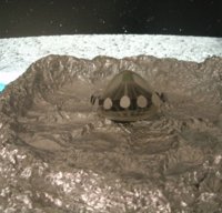 GEDC1981.JPG