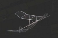 Acetate winged.jpg