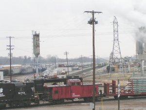 323.jpg