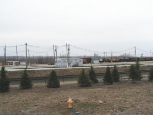 374.jpg