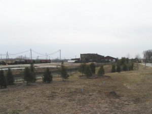 373.jpg