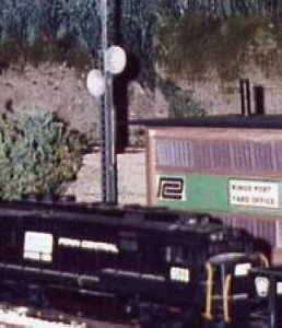 yard2.jpg