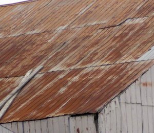 roof.jpg