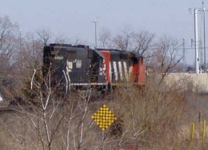 p1010019.jpg