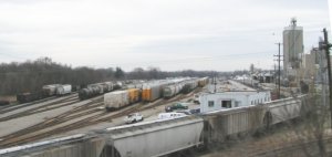 645.jpg