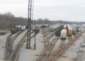 646.jpg