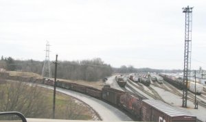 647.jpg