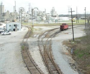 556.jpg