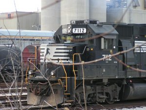 743.jpg