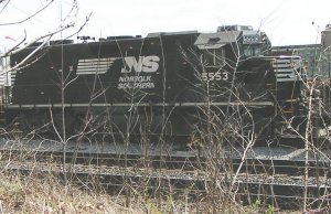 748.jpg