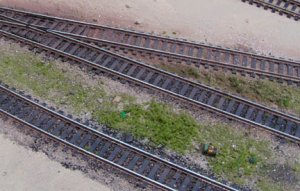 track1.jpg