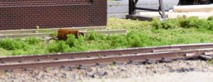 track2.jpg