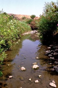golan-stream.jpg