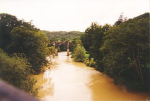 muddy.jpg