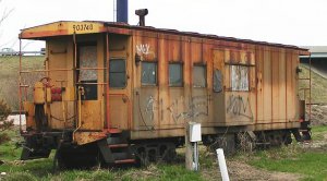 917.jpg