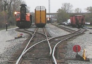 1043.jpg