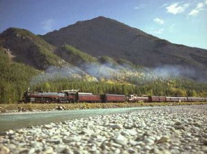 2816-at-field_lg.jpg