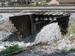 1183.jpg