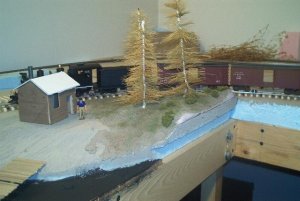 trees and bank overview.jpg
