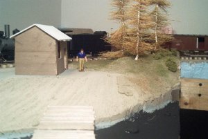trees and bank.jpg