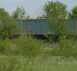 c-nw.jpg
