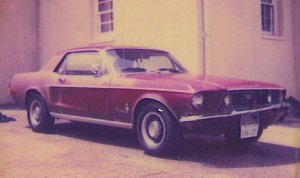 mustang (2).jpg