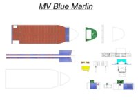 Blue Marlin.JPG