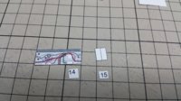 20160504_141526.jpg