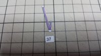 20160505_104909.jpg