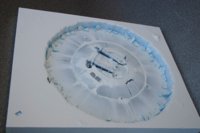 saucer8.jpg