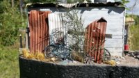 slumredux2.jpg